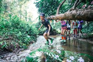 BIB: 
                            <button type="button" onclick="openModal(25446184)" class="btn btn-primary btn-sm float-right btn-popup" data-toggle="modal" data-target=".modal-high-quality">
                        <i class="fas fa-shopping-cart"></i> Add to Cart
                    </button>
                                            <button type="button" onclick="isThisMe(25446184, true)" class="btn btn-success btn-sm float-right btn-popup btn-isme hidden" data-toggle="tooltip" data-placement="bottom" title="นี่คือรูปของคุณใช่ไหม คลิกที่นี่เพื่อเอาเข้าอัลบั้ม">
                        <i class="fas fa-plus"></i> Add to album
                    </button>
                    <button type="button" onclick="isThisMe(25446184, false)" class="btn btn-warning btn-sm float-right btn-popup btn-isnotme hidden">
                        <i class="fas fa-ban"></i> Remove from album
                    </button>